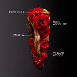 Shiseido Ginza Intense EDP 30 Ml -Hugo Boss || Armani || Calvin Klein Butik 7686141996942