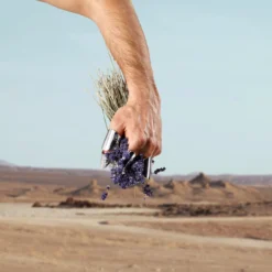 Dolce & Gabbana K Pour Homme EDT 50 Ml -Hugo Boss || Armani || Calvin Klein Butik 80579711814835