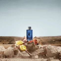 Dolce & Gabbana K For Him EDP 50 Ml -Hugo Boss || Armani || Calvin Klein Butik 80579711831113