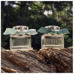 Chloé Signature Rose Naturelle Intense EDP 100 Ml -Hugo Boss || Armani || Calvin Klein Butik chloe signature rose naturelle intense edp 100 ml 1665041717