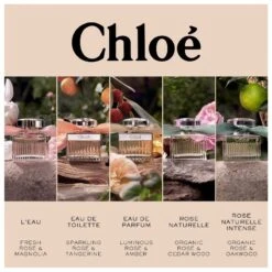 Chloé Signature Rose Naturelle Intense EDP Refill 150 Ml -Hugo Boss || Armani || Calvin Klein Butik chloe signature rose naturelle intense edp 150 ml 1665985508
