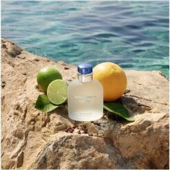 Dolce & Gabbana Light Blue Pour Homme EDT 40 Ml 9 Dolce & Gabbana Light Blue Pour Homme EDT 40 Ml -Hugo Boss || Armani || Calvin Klein Butik dolce gabbana light blue pour homme edt 40 ml 1655792350
