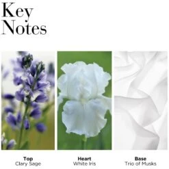 Elizabeth Arden White Tea EDT Gift Set (Limited Edition) -Hugo Boss || Armani || Calvin Klein Butik elizabeth arden white tea edt gift set limited edition 1667543917