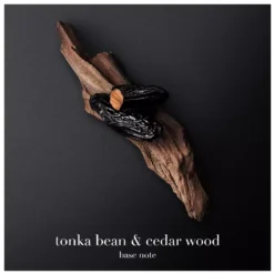 Giorgio Armani Code EDT 50 Ml -Hugo Boss || Armani || Calvin Klein Butik giorgio armani code edt 50 ml 1677588020