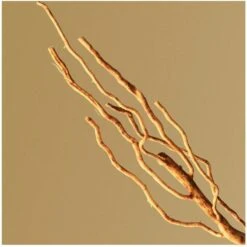 Hugo Boss Bottled EDP 50 Ml -Hugo Boss || Armani || Calvin Klein Butik hugo boss bottled edp 50 ml 1602056528