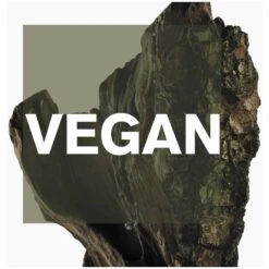 Issey Miyake Cedar EDT 50 Ml -Hugo Boss || Armani || Calvin Klein Butik issey miyake cedar edt 50 ml 1655983385