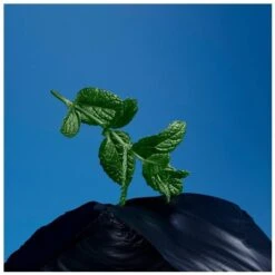 Issey Miyake Fusion D'Issey Extreme EDT 100 Ml -Hugo Boss || Armani || Calvin Klein Butik issey miyake fusion dissey extreme edt 100 ml 1630925655