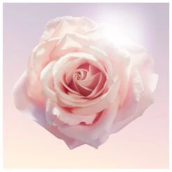 Lancome Lancôme Idôle EDP 50 Ml -Hugo Boss || Armani || Calvin Klein Butik lancome idole edp 50 ml 1566549945