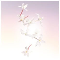 Lancome Lancôme Idôle EDP 75 Ml -Hugo Boss || Armani || Calvin Klein Butik lancome idole edp 75 ml 1566551274