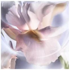 Lancome Lancôme La Vie Est Belle Iris Absolu EDP 30 Ml -Hugo Boss || Armani || Calvin Klein Butik lancome la vie est belle iris absolu edp 30 ml 1677581365