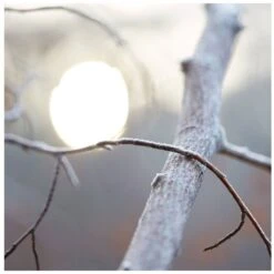 Maison Margiela Replica By The Fireplace EDT 100 Ml -Hugo Boss || Armani || Calvin Klein Butik maison margiela replica by the fireplace edt 100 ml 1670931873