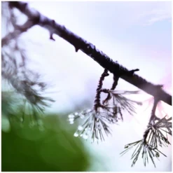 Maison Margiela Replica When The Rain Stops EDT 100 Ml -Hugo Boss || Armani || Calvin Klein Butik maison margiela replica when the rain stops edt 30 ml 4