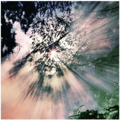 Maison Margiela Replica When The Rain Stops EDT 30 Ml -Hugo Boss || Armani || Calvin Klein Butik maison margiela replica when the rain stops edt 30 ml 5 1