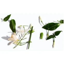 Paco Rabanne Lady Million Deodorant Spray 150 Ml -Hugo Boss || Armani || Calvin Klein Butik paco rabanne lady million deodorant spray 150 ml 1598358232