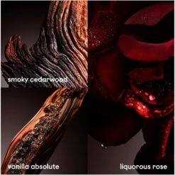 Paco Rabanne One Million Elixir EDP 50 Ml -Hugo Boss || Armani || Calvin Klein Butik paco rabanne one million elixir edp 50 ml 1650958232