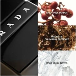 Prada Luna Rossa Black Men EDP 100 Ml -Hugo Boss || Armani || Calvin Klein Butik prada luna rossa black men edp 100 ml 1628142501