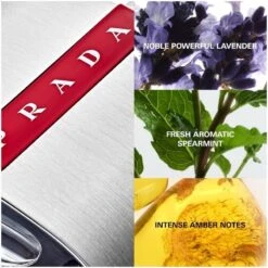 Prada Luna Rossa Carbon Men EDT 100 Ml -Hugo Boss || Armani || Calvin Klein Butik prada luna rossa carbon men edt 100 ml 1628140731