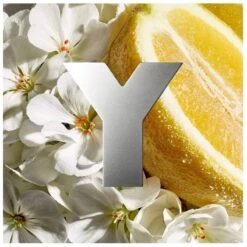 Yves Saint Laurent YSL Eau Fraiche For Men EDT 100 Ml -Hugo Boss || Armani || Calvin Klein Butik ysl eau fraiche for men edt 100 ml 1589284946