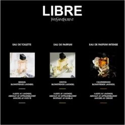 Yves Saint Laurent YSL Libre EDT 50 Ml -Hugo Boss || Armani || Calvin Klein Butik ysl libre edt 50 ml 1620278923